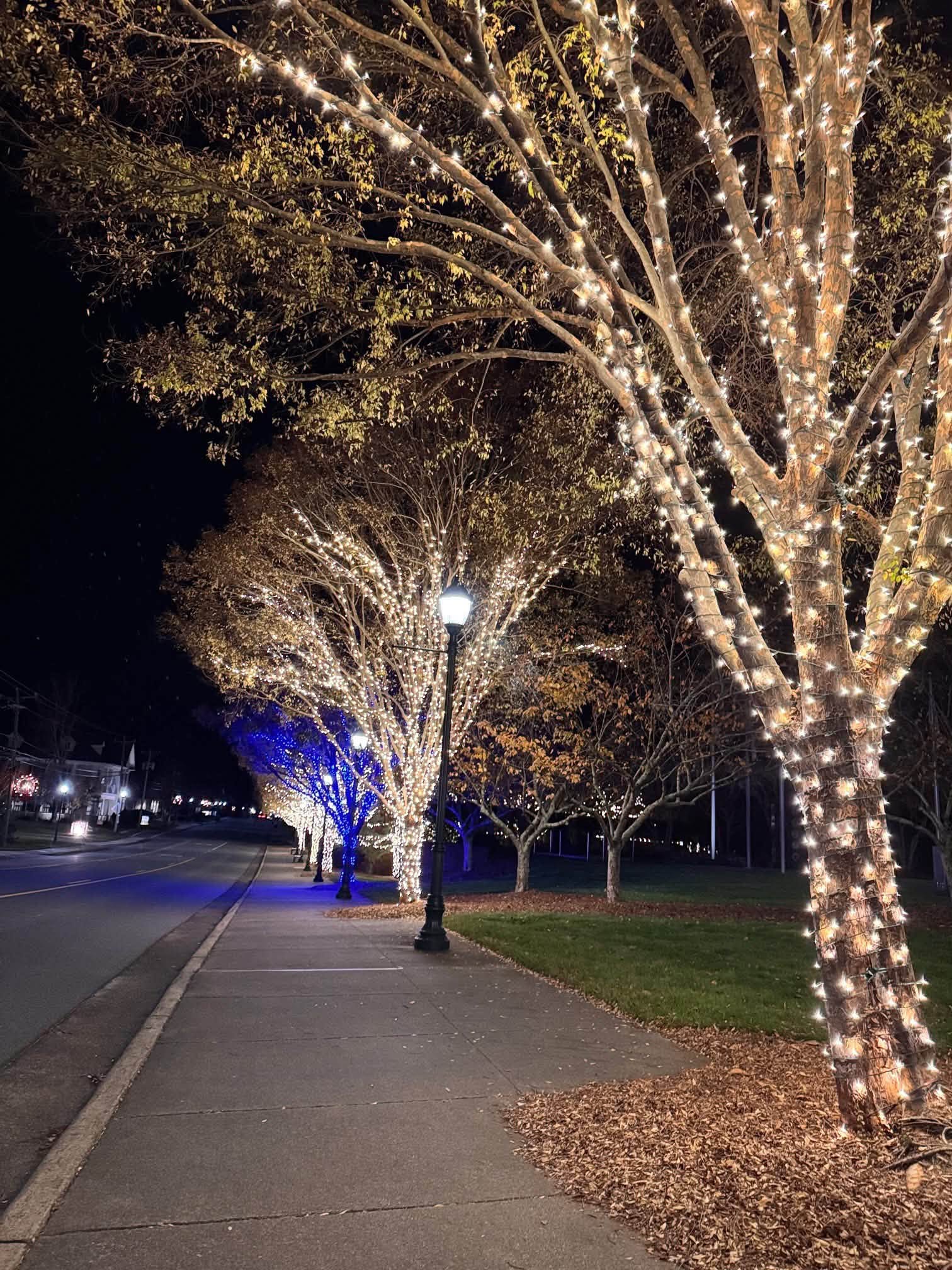 AstroLume: An evening under the lights